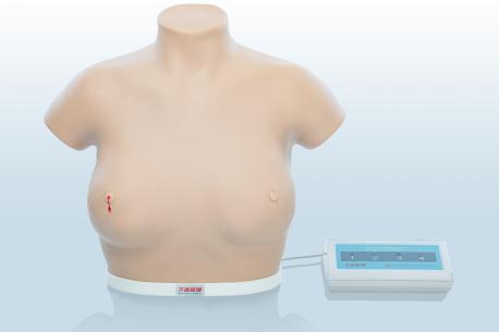 電子乳腺癌觸診、視診訓(xùn)練模型